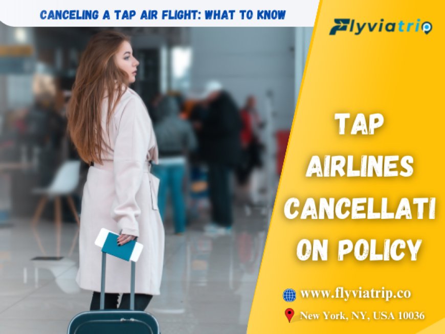 TAP Airlines Cancellation Policy: A Complete Guide